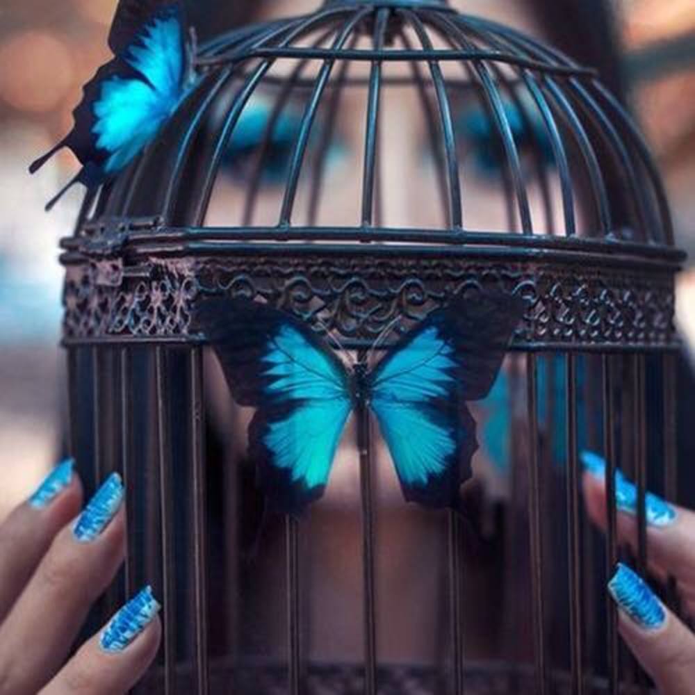 Meet your Posher, Arcelia